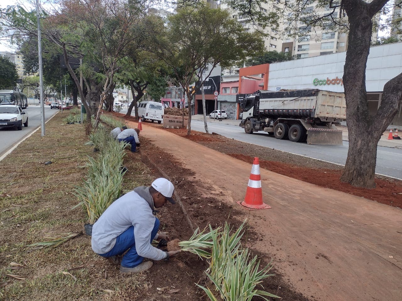 REVITALIZAÇÃO CANTEIRO CENTRAL AVENIDA SUMARÉ - CIDADE SÃO PAULO