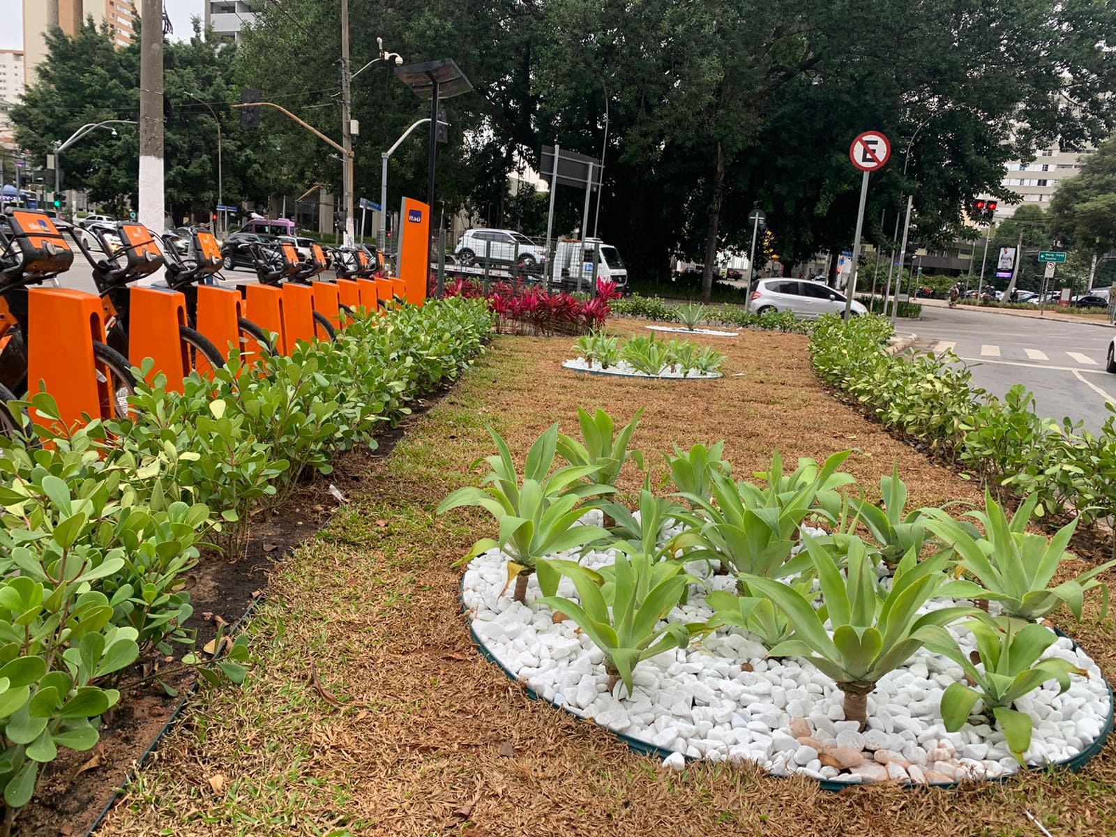 REVITALIZAÇÃO CANTEIRO CENTRAL AVENIDA SUMARÉ - SÃO PAULO CAPITAL